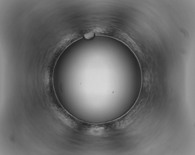 X0000113030257200908271501