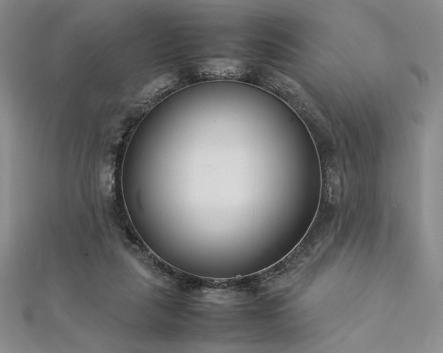 X0000113030259200908271501