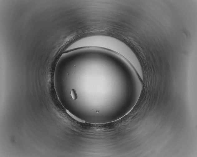 X0000113030260200908271501