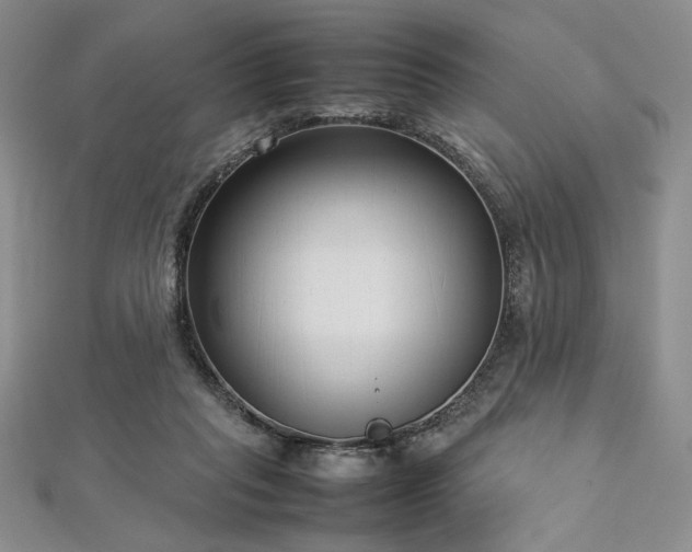 X0000113030261200908271501