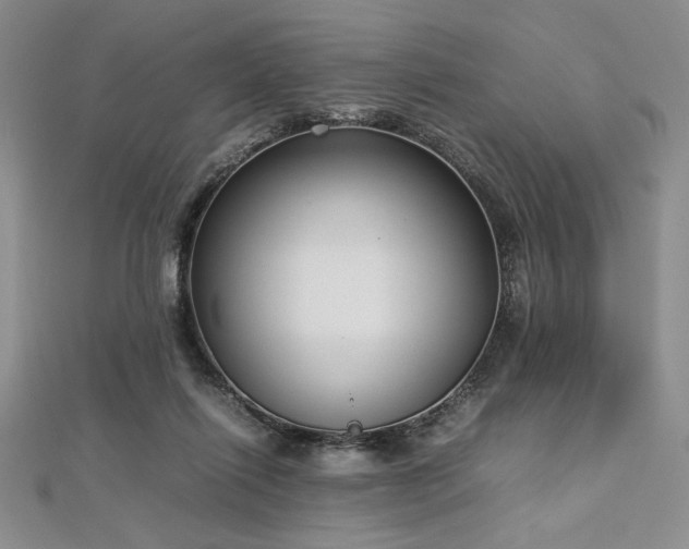 X0000113030262200908271501