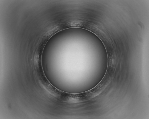 X0000113030263200908271501