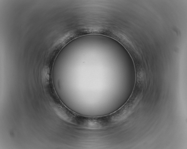 X0000113030264200908271501