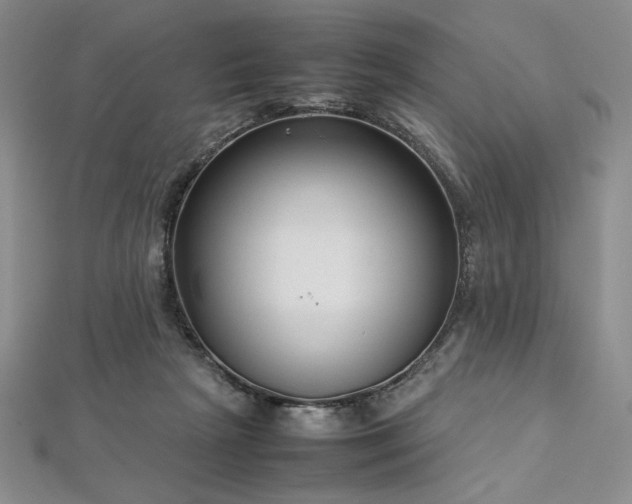 X0000113030265200908271501