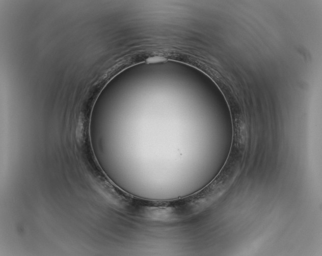 X0000113030266200908271501