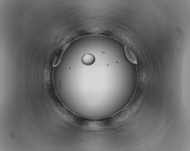 X0000113030268200908271501