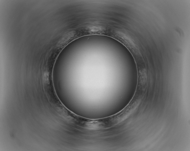 X0000113030269200908271501