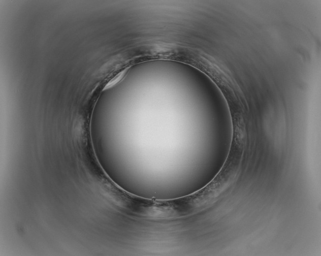 X0000113030270200908271501