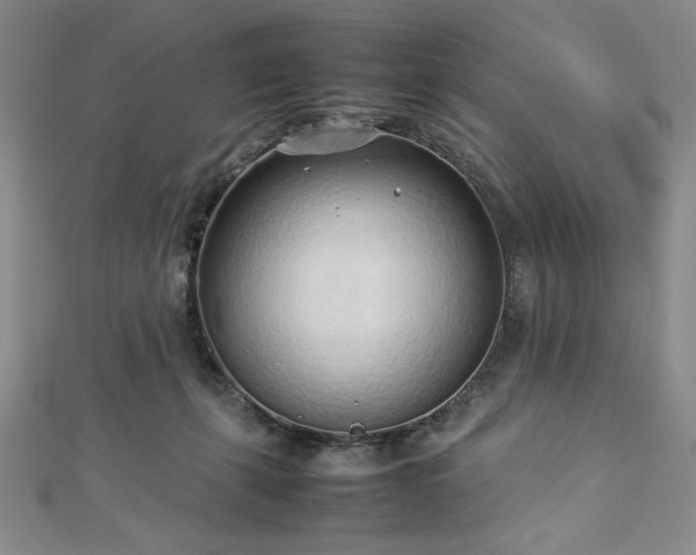 X0000113030271200908271501