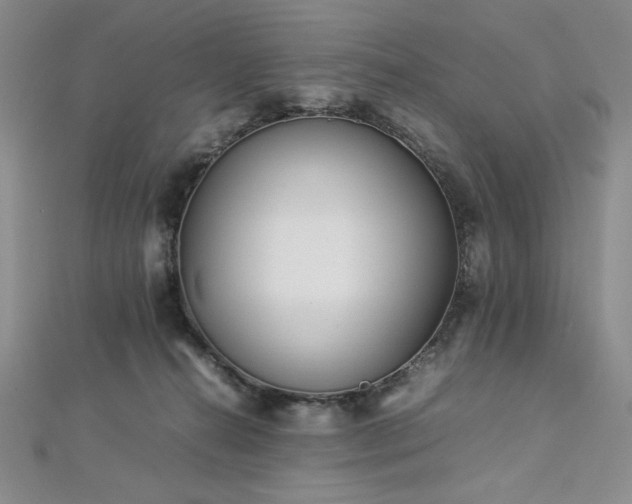 X0000113030272200908271501