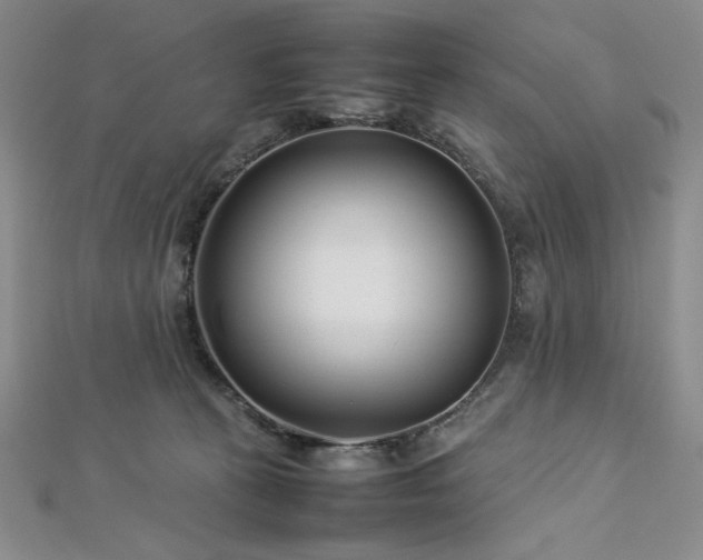 X0000113030273200908271501