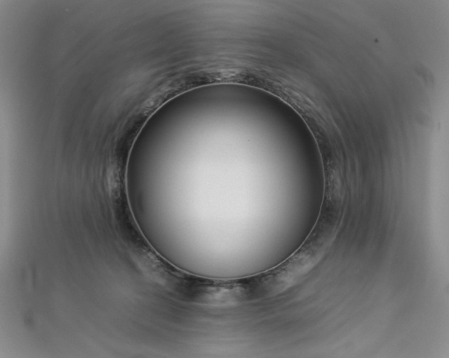 X0000113030274200908271501