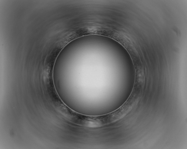 X0000113030275200908271501