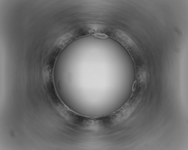 X0000113030276200908271501