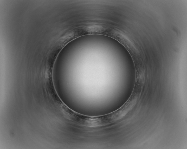 X0000113030277200908271501