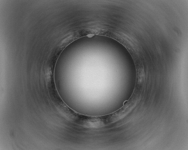 X0000113030279200908271501