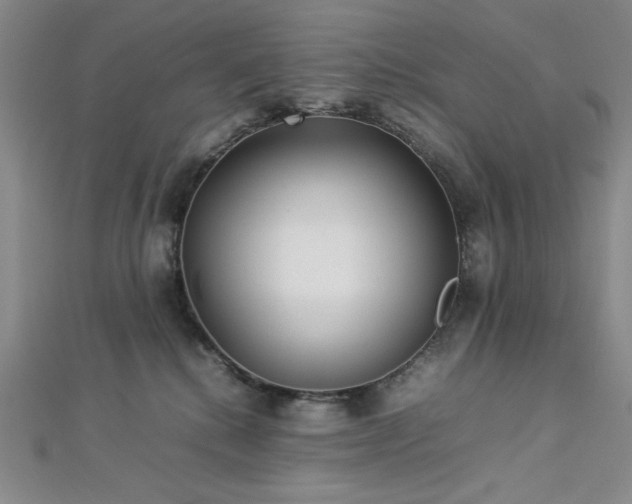 X0000113030280200908271501