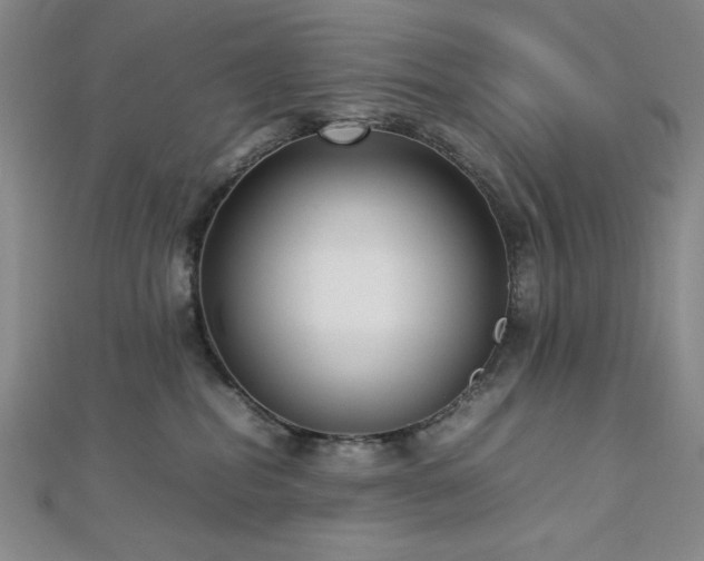 X0000113030282200908271501