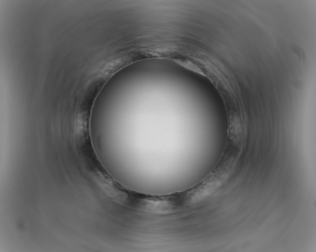 X0000113030284200908271501