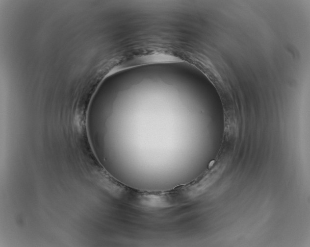 X0000113030285200908271501