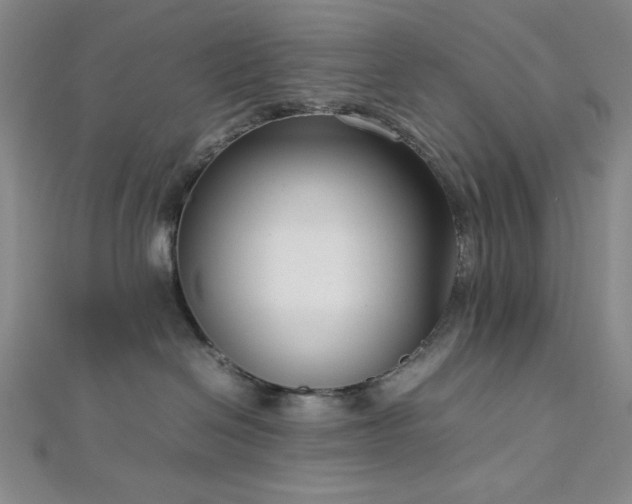 X0000113030286200908271501