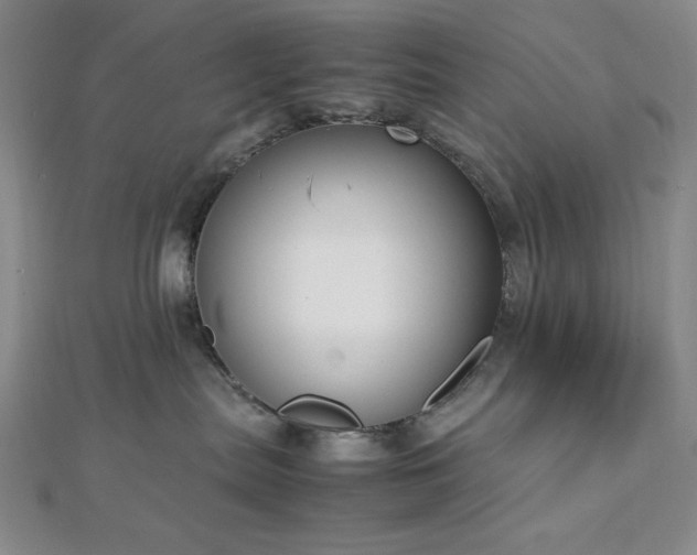 X0000113030287200908271501