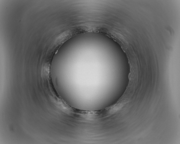 X0000113030288200908271501