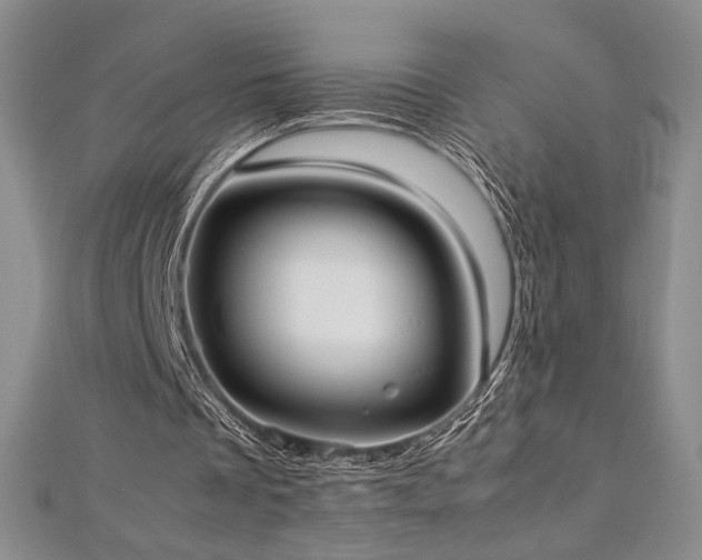 X0000113030289200908271501