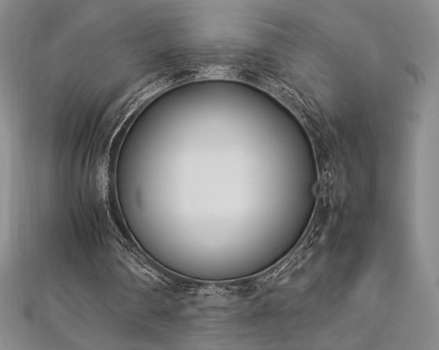 X0000113030290200908271501