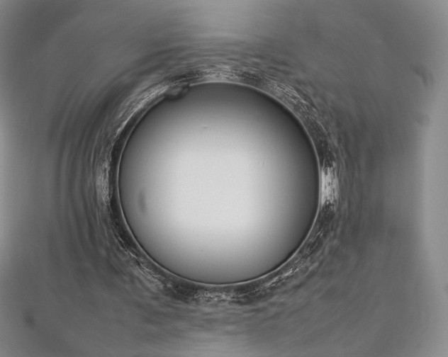 X0000113030291200908271501