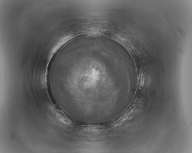 X0000113030292200908271501