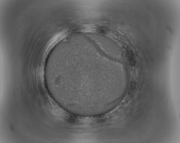 X0000113030293200908271501