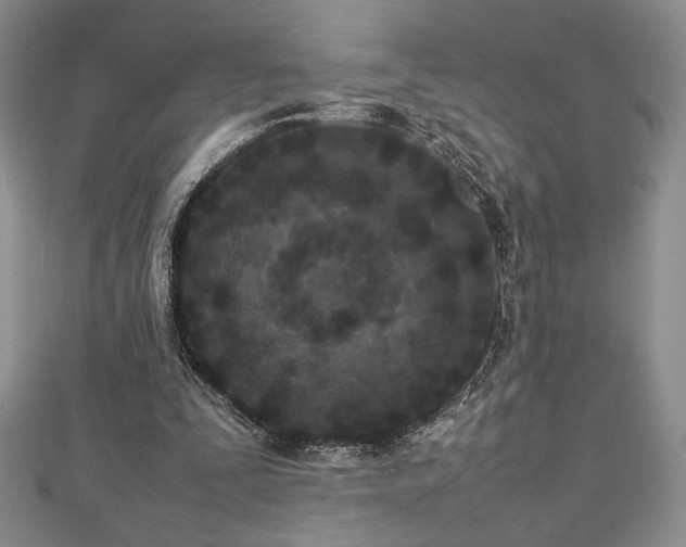 X0000113030295200908271500