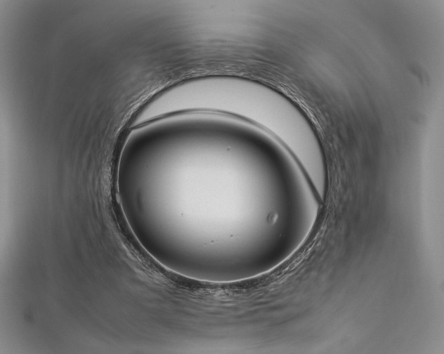 X0000113030297200908271500