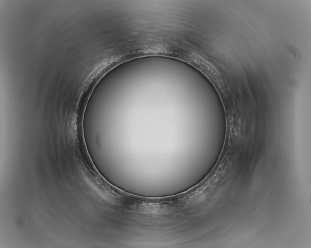 X0000113030298200908271500