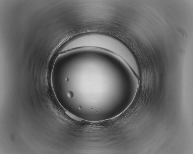 X0000113030300200908271500