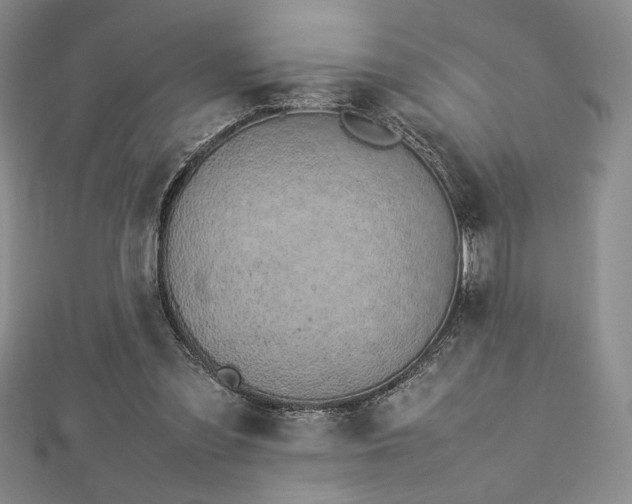 X0000113030301200908271500