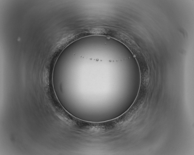 X0000113030303200908271500