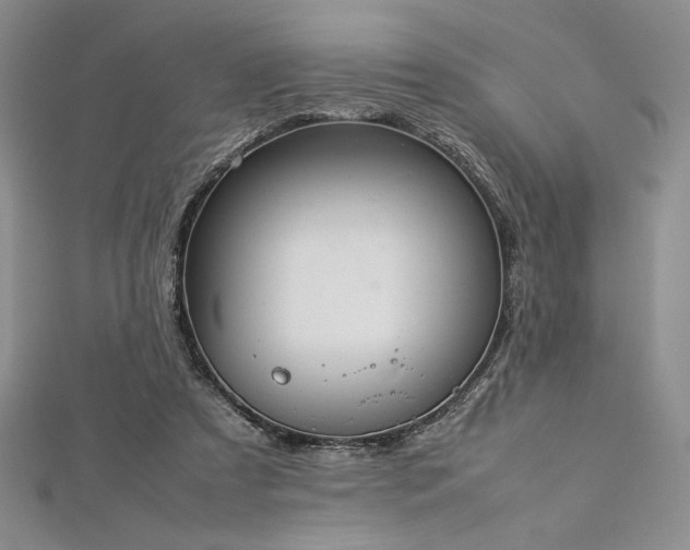 X0000113030305200908271500