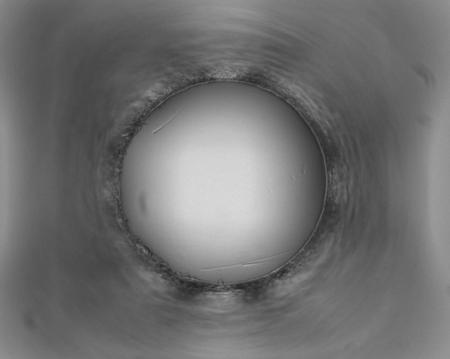 X0000113030307200908271500