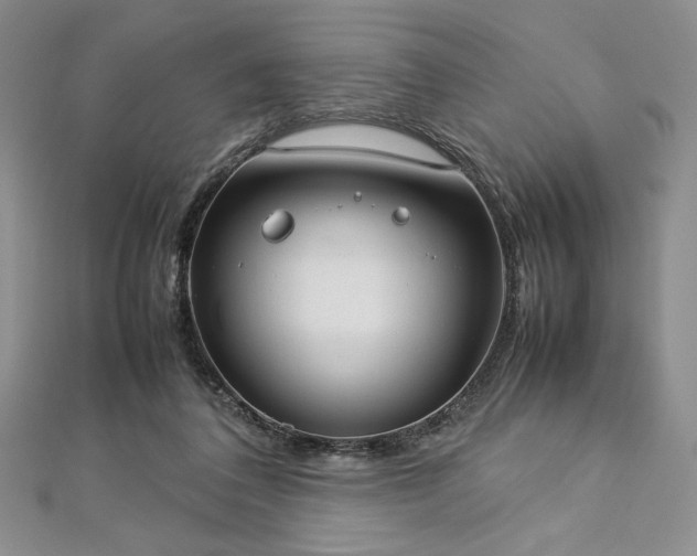 X0000113030308200908271500