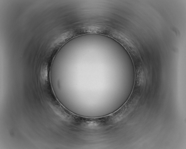 X0000113030310200908271500