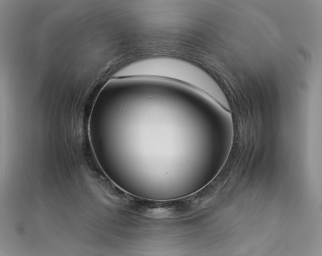 X0000113030312200908271500