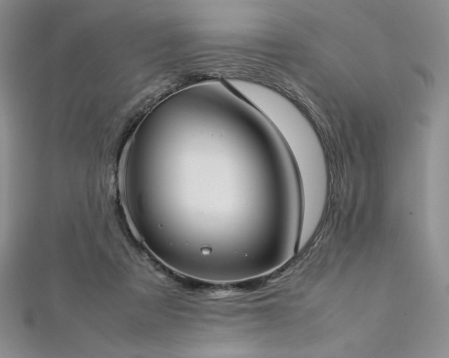 X0000113030313200908271500