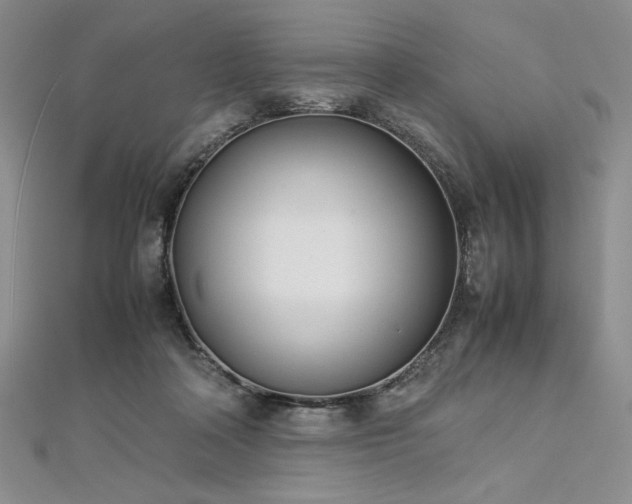 X0000113030314200908271500