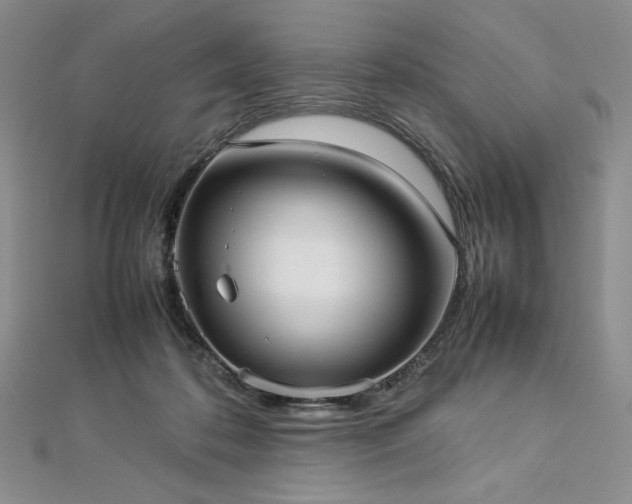 X0000113030316200908271500