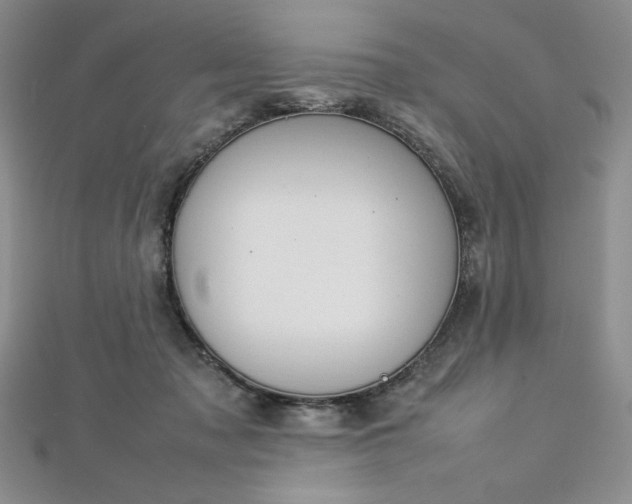 X0000113030317200908271500