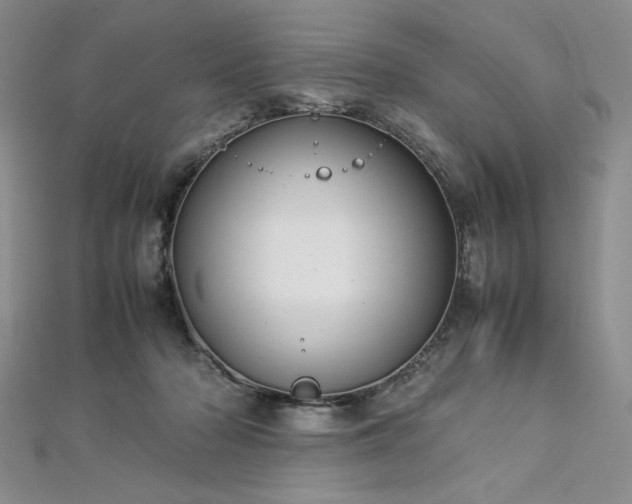 X0000113030318200908271500