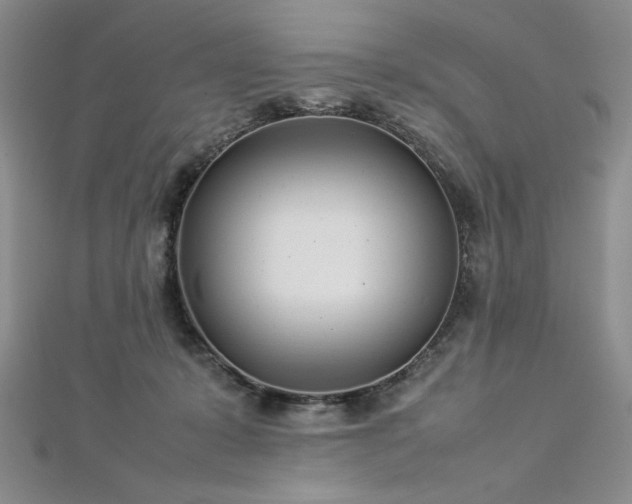 X0000113030319200908271500