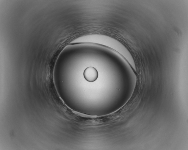 X0000113030320200908271500